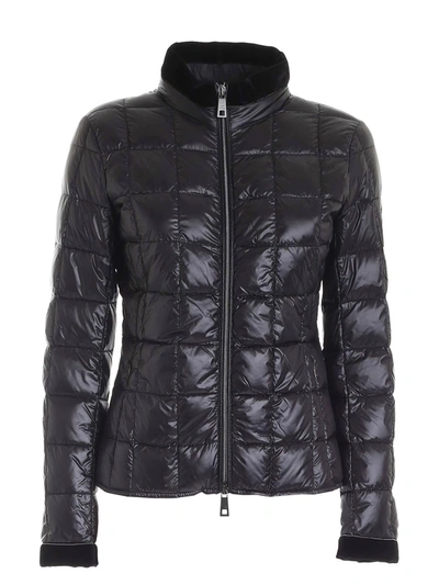 Fay Light Puffer Jacked With Velvet Piping In Black