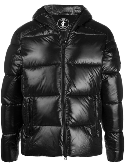 Save The Duck D3128m Lucky Padded Jacket In Black