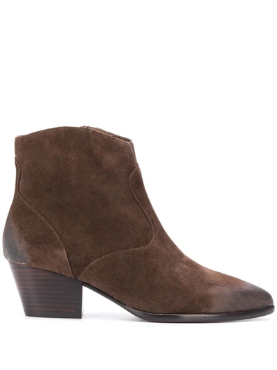 Ash Heidi Suede Ankle Boots In Brown