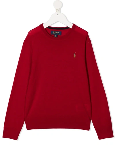 Ralph Lauren Kids' Long-sleeve Knitted Top In Red