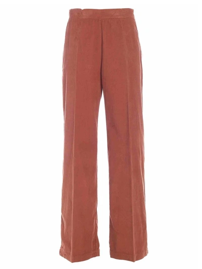 Semicouture Velvet Pants In Brown