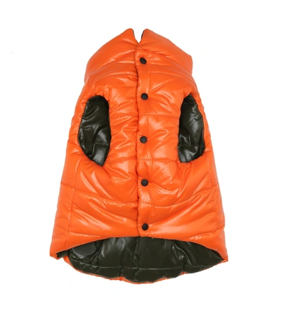 Moncler Reversible Dog Vest In Orange