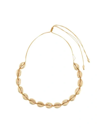 Tohum Beach Shell Necklace In Gold