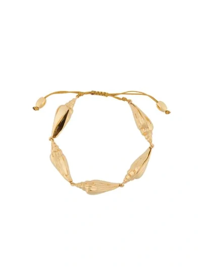 Tohum Colubra Shell Bracelet In Gold