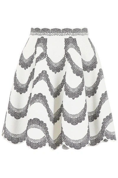 Alexander Mcqueen Knit Mini Skirt In White,black