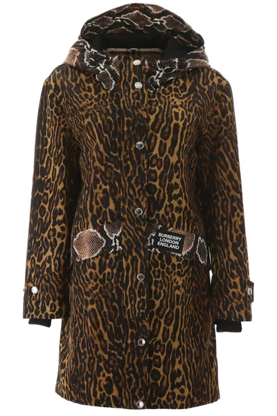 Burberry Cramond Animalier Parka In Brown,black