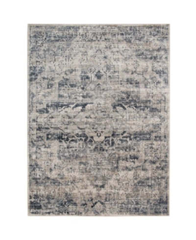 Amer Rugs Belmont Blm-6 Ivory/gray 7'11" X 9'10" Area Rug