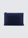 Night - Verified Partner Night Trisilk™ Pillowcase In Blue