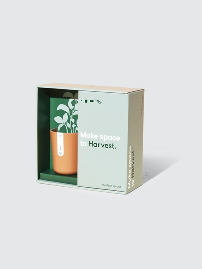 Modern Sprout Harvest Live Well Gift Set In Green