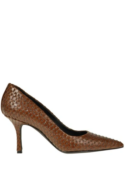 Marc Ellis Studded Reptile Effect Leather Pumps In Brown