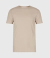 Allsaints Figure Tee In Limestone