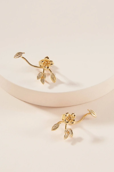 Anthropologie Maisie Crawler Earrings In Gold