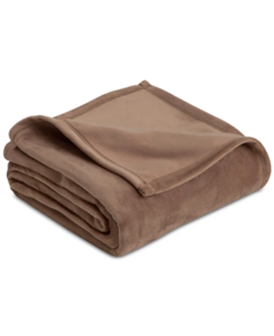 Vellux Plush Knit King Blanket Bedding In Desert Taupe