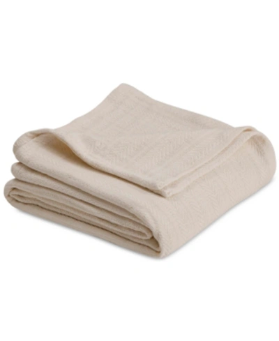 Vellux Cotton Textured Chevron Woven Twin Blanket Bedding In Ecru