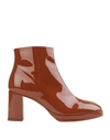 Miista Ankle Boots In Brown