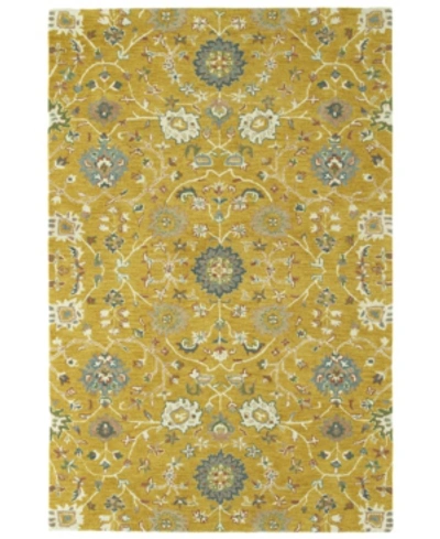 Kaleen Amaranta Ama02-05 Gold 8' X 10' Area Rug