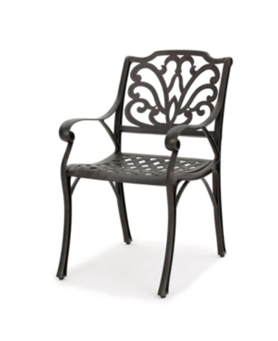 Noble House Alfresco Outdoor Cast Dining Chairs, Set Of 2 In Bronze
