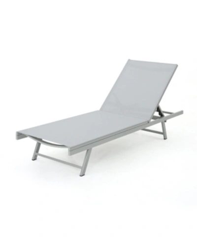 Noble House Salton Outdoor Chaise Loungers With Frame, Set Of 2 In Gray