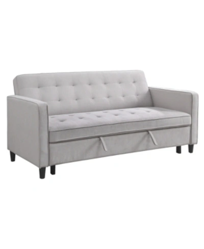 Furniture Ashland Sofa Bed In Gray