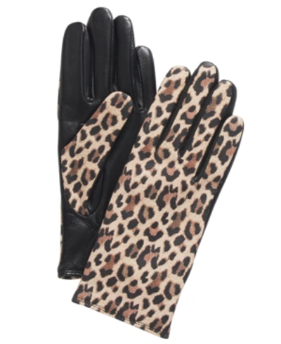 Charter Club Cashmere Lined Leather Tech Gloves, Created For Macy's In Leopard Print