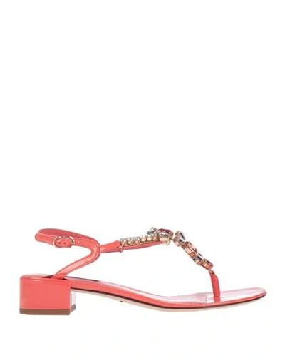 Dolce & Gabbana Toe Strap Sandals In Coral