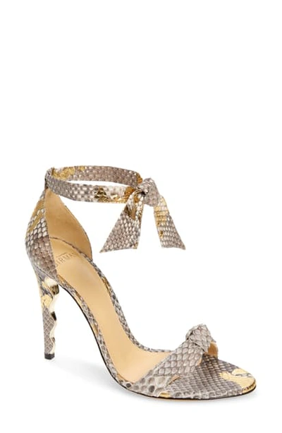 Alexandre Birman Women's Wave Clarita Snake Embossed High Heel Sandals In Natural/ Gold