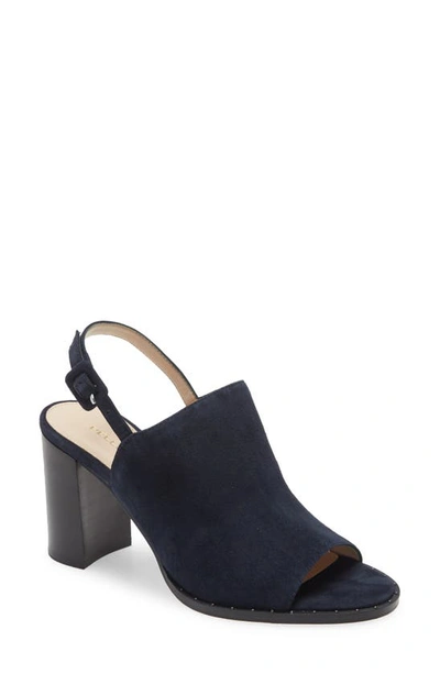 Pelle Moda Grove Sandal In Midnight Suede