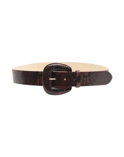 8 By Yoox Belt In 100% Python-print Leather In Brown