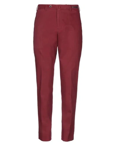 Pt Torino Pants In Maroon
