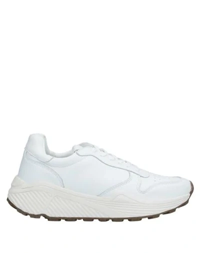 Steve Madden Sneakers In White