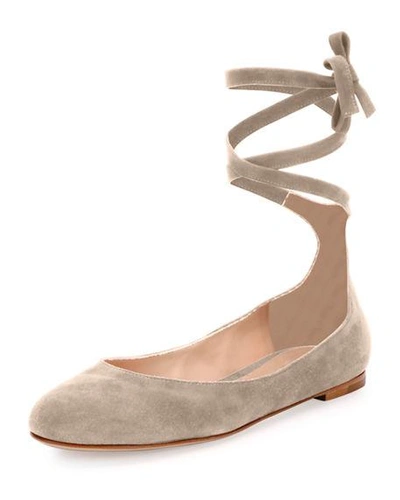 Gianvito Rossi Carla Suede Lace-up Flat In Gray