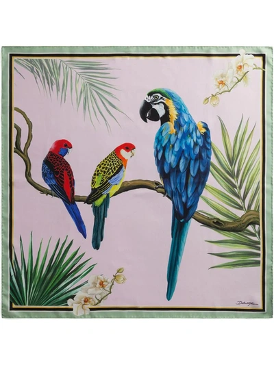 Dolce & Gabbana Parrot-print Scarf In Pink