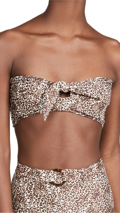 Faithfull The Brand Tropez Bikini Top In Charlie Leopard