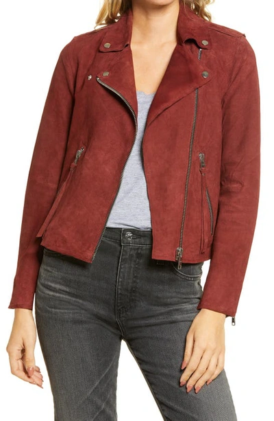 Allsaints Dalby Redge Suede Moto Jacket In Maroon+red
