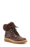 Botkier Women's Winter Leather Lace Up Boots In Coffee Suede