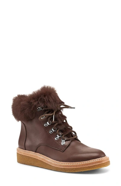 Botkier Women's Winter Leather Lace Up Boots In Coffee Suede