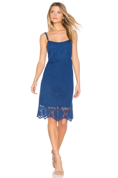 Bb Dakota Cassia Cotton Dress In Blue