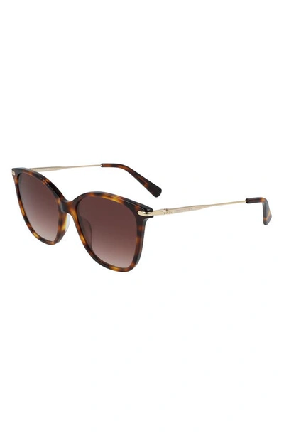 Longchamp 54mm Gradient Cat Eye Sunglasses In Havana/ Brown Gradient