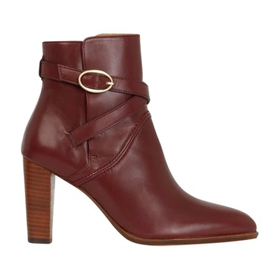 Vanessa Bruno Ankle Boots In Acajou