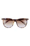 Rag & Bone 53mm Gradient Cat Eye Sunglasses In Brown/ Violet Havana/ Violet