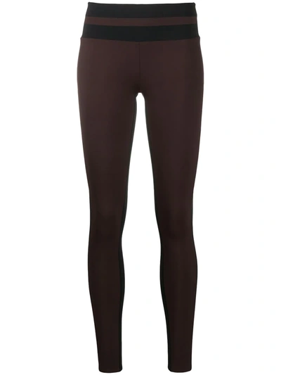 Vaara Flo Two-tone Panelled Leggings In Brown