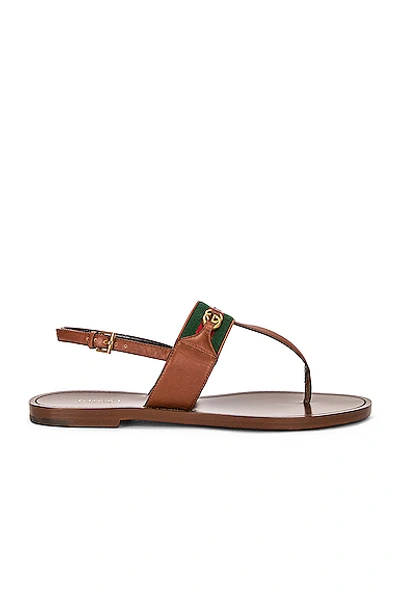 Gucci Siryo Thong Sandals In Light Ebony