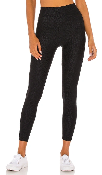 Lanston Viper Legging In Black