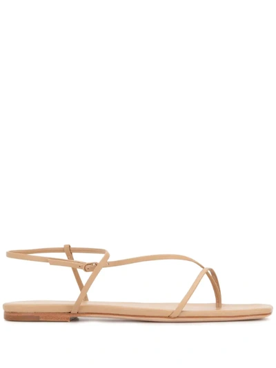 Studio Amelia Thin Strap Sandals In Brown