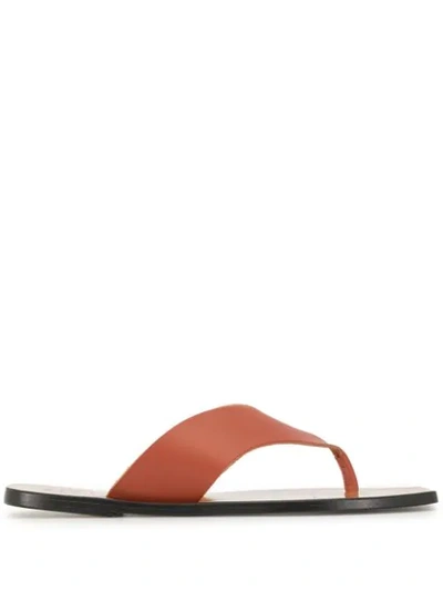 Atp Atelier Thong Strap Sandals In Brown