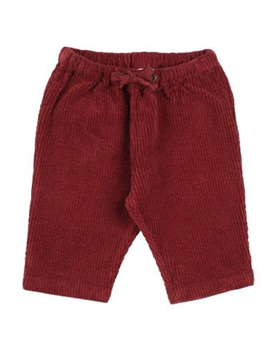 De Cavana Babies' Pants In Brown