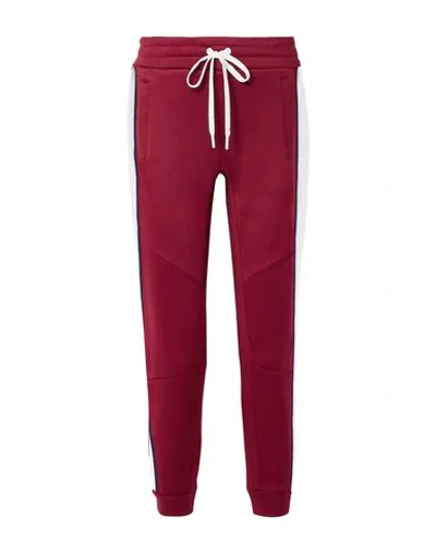 All Access Pants In Maroon