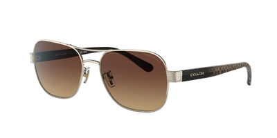 Coach Woman Sunglasses Hc7116 L1151 In Brown Gradient Polar