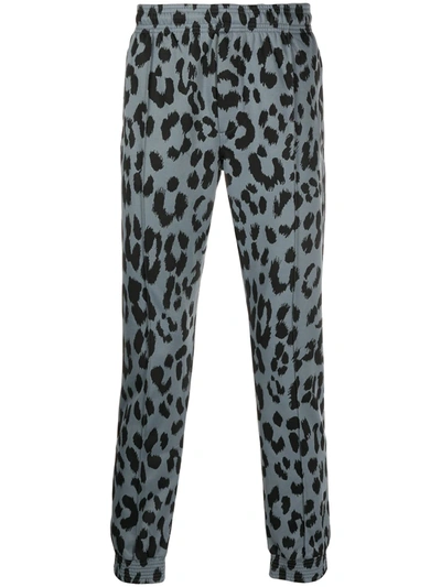 Kenzo Men's Guepard Leopard-print Jacquard Track Pants In Light Blue/black