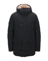 Holubar Down Jacket In Black